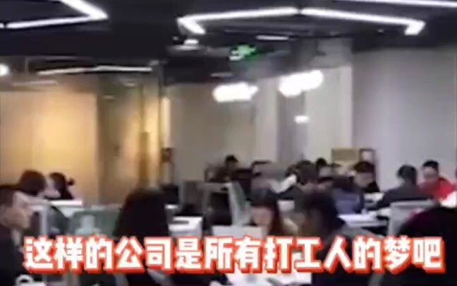 هل حياة موظفي لِيِ شِي خُرافية؟ بلا رؤساء؟ بلا تنافس داخلي مفرط؟ بلا نظام 996؟ لِيِ شِي: هذا صحيح إل