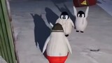 Penguin noot nook