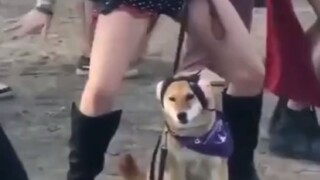 ไม่มีใครรู้หรอก ที่ฉันดูมากี่รอบแล้ว