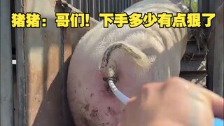 猪猪: 哥们！下手多少有点狠了