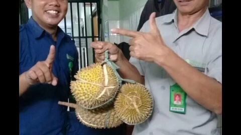 masa pensiun
