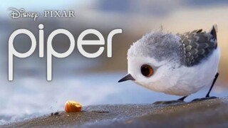 Oscar-winning short film, the story of a young snipe growing up😱😱 #film #movie #piper