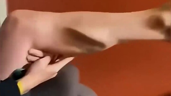 Is this what a cramp looks like? Turn up the volume and watch!