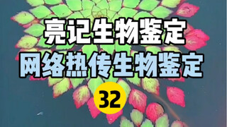 【Liangji Bioassay】Internet Hot Biological Identification 32