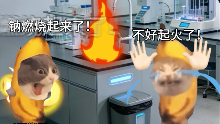 عندما يشتعل الصوديوم