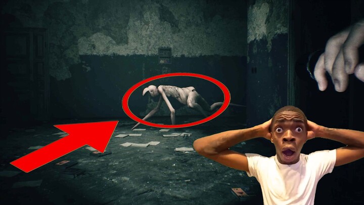 Shh! Don’t make a sound 🤫