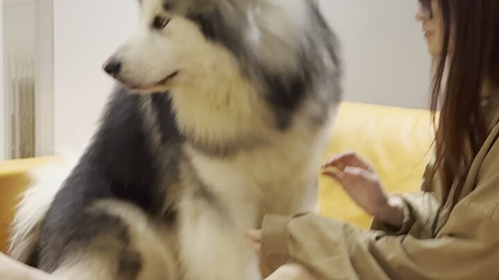 啊啊啊啊妈妈我不和你了！