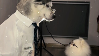 Hello, I'm your senior, Mishu.