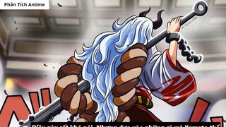 Mục Đích Của Aokiji Khi Đến Wano - Yamato Sẽ Vào Băng Mũ Rơm _ 9