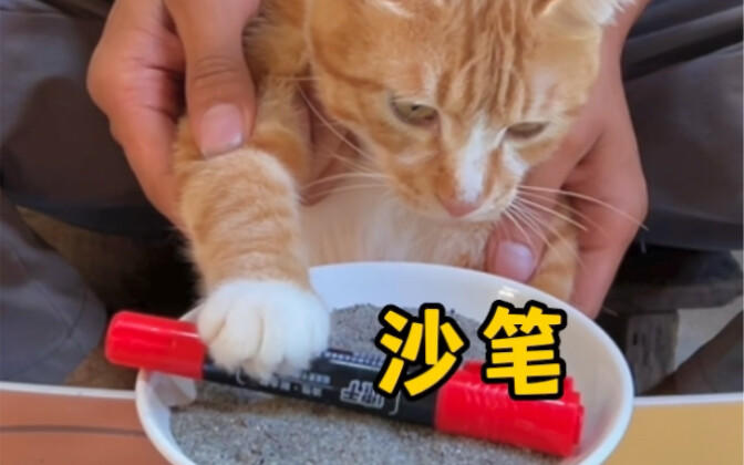 Yay—What happens when sand meets a pen!