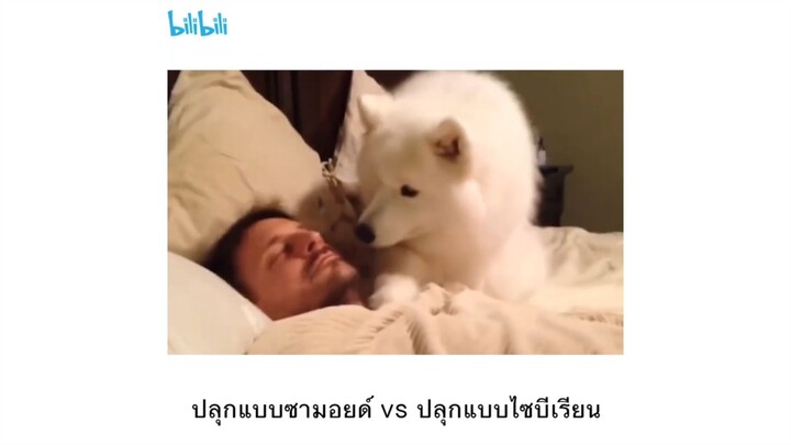 นุดตื่นได้แล้ววันนี้วันจันทร์นะ