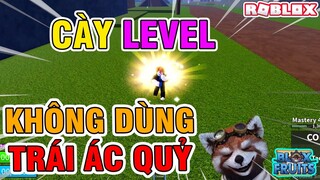 Roblox - Thử Thách CÀY LEVEL KHÔNG DÙNG TRÁI ÁC QUỶ Trong Blox Fruits