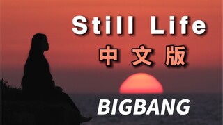 “最遗憾，年少的痴狂被遗忘”《Still Life》中文版，给自己一个答案