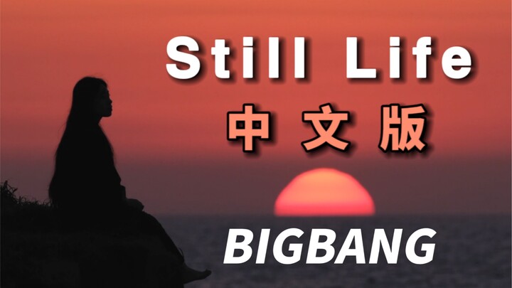 "The greatest regret is that youthful madness has been forgotten." "Still Life" Chinese version—give