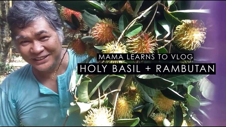 MAMA LEARNS TO VLOG | HOLY BASIL AND RAMBUTAN