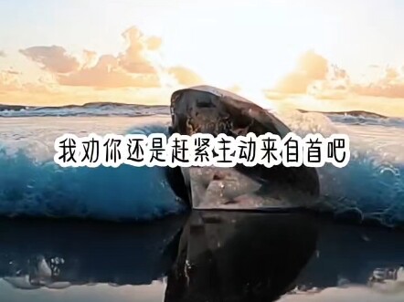 Bobo Looking for Fans