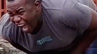 菊花残，满地伤