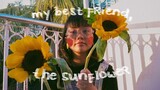 🌻 best friend + sunflower by rex orange county • cover by geiko 🌻