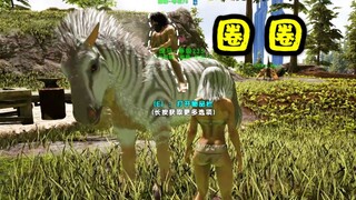 方舟创世纪：** 喵 喵