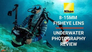 Nikon 8-15mm Fisheye Retrospective Review // Underwater Wildlife Photography