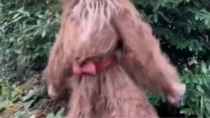 Nhảy đẹp vãi😂😂