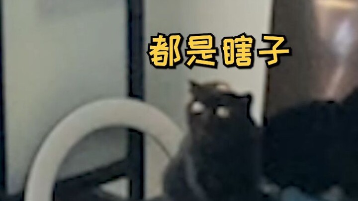 From a surveillance camera's perspective, how hard it is to find my black cat at home...