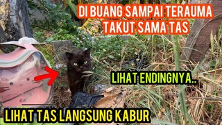 Allahu Akbar Kucing Ras Terauma Karena Di Buang Lihat Tas Kucing Langsung Kabur..!