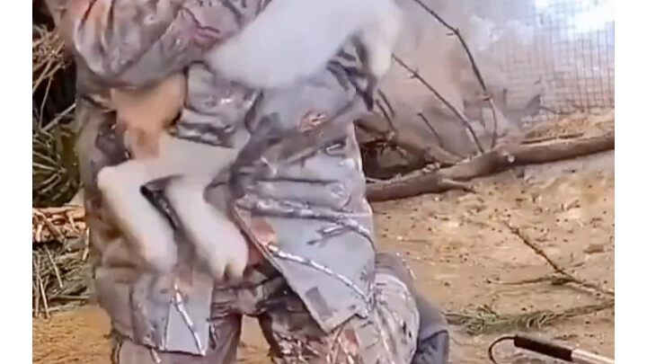 ฉากฮาๆ: กระต่ายอาเปียว: กล้าแตะแฟนฉันเหรอ? ฉันจะสู้กับแกให้ถึงที่สุด!