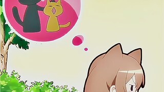 "The meow-type senior and his cute junior"