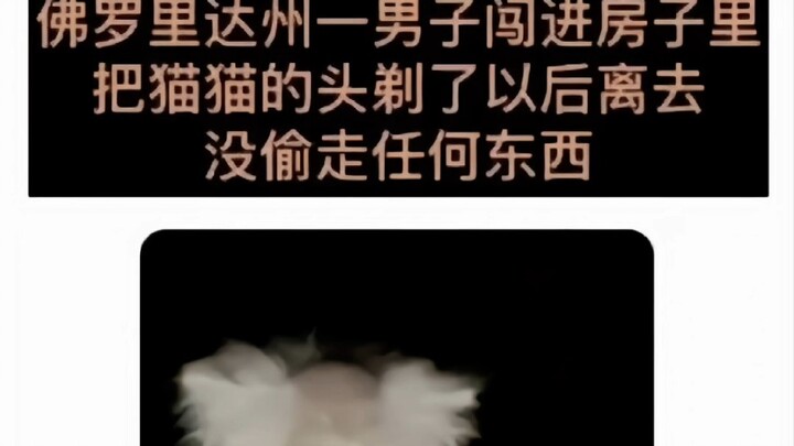 سأكرر مرة أخيرة: نحن في فلوريدا لا نُعيل البطالين.