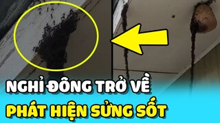 💥Trở về sau KỲ NGHỈ, người đàn ông SỮNG SỜ với CẢNH TƯỢNG này | TIN GIẢI TRÍ