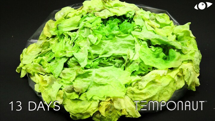 【Thời gian mang đi tất cả】Chụp time-lapse của Sheng Cai Tou