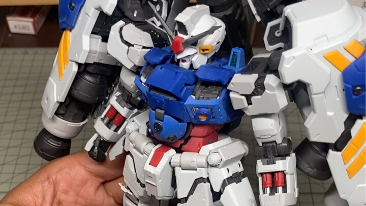 所罗门酸浆果gp02闲唠嗑