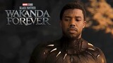 Marvel Black Panther 2 Wakanda Forever Killmonger Returns