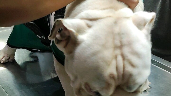 vaccine day!
