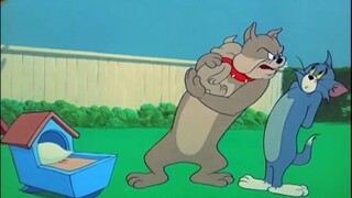 Tom and Jerry | Spike and Tyke moment