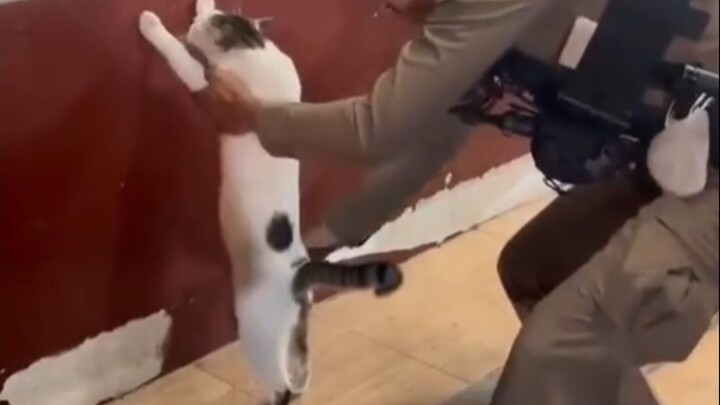 “Arrest at the Crime Scene”