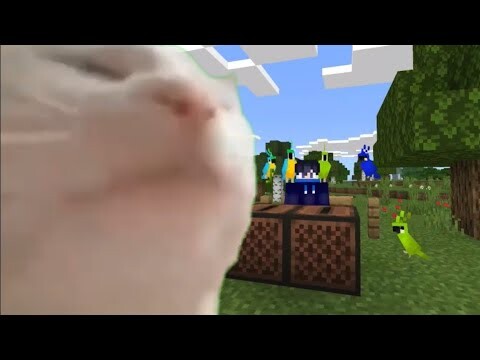 Cat Vibing Minecraft Edition