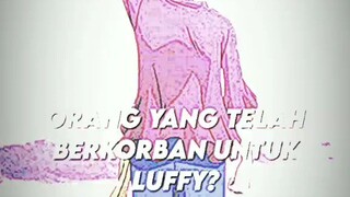 orang² yg bekorban demi Luffy🙂