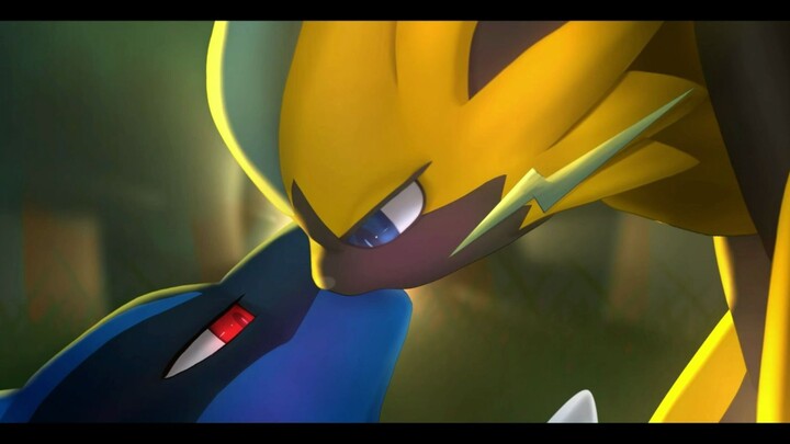 The heartwarming love story of Zeraora and Lucario