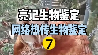 【التعرف الحيوي على ليانغجي】التعرف الحيوي على الإنترنت أصبح شائعًا مؤخرًا 7