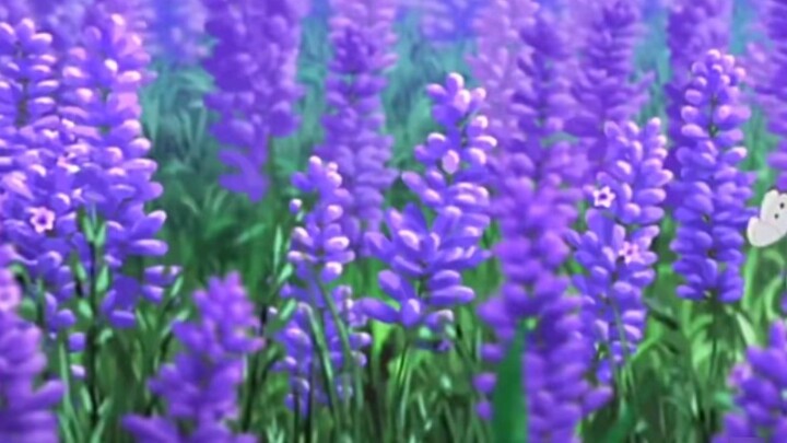 Shinran, always the light in your heart, Detective Conan classic song "Your Best Friend"