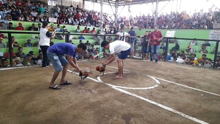 Bulik LOS BAÑOS VS SANPABLO SA NBC!