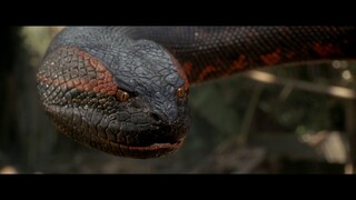 Anaconda 1 (1997) Movie hindi dubbed