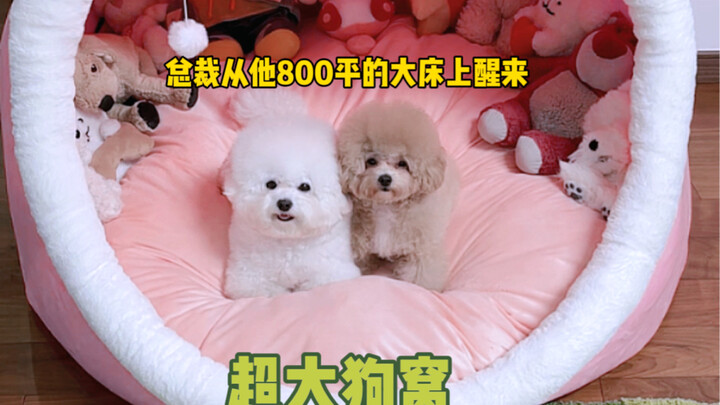 I forgot to check the dimensions when I bought the dog bed