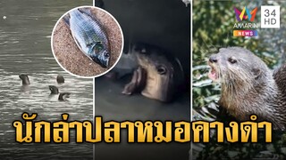 "ตัวนาก" นักล่าใหม่ พิฆาต "ปลาหมอคางดำ" | ข่าวอรุณอมรินทร์ | 24/7/67