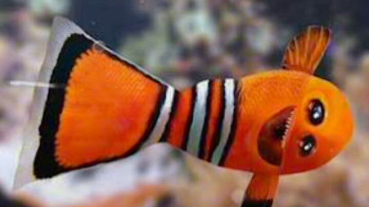 What If Kids’ Drawings Are the Real Thing?