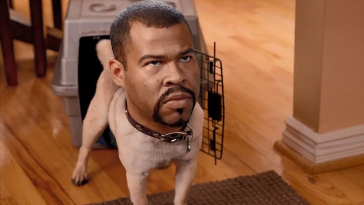 【黑人兄弟】Ice-T的狗