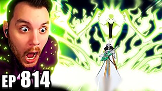 Soul King Ain’t Playing in Whole Cake! | One Piece REACTION