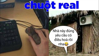 Chuột thật tạo cảm giác khi bấm - Top commnet hài hước Face Book.